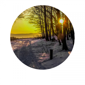 Amherst Ohio Homes for Sale